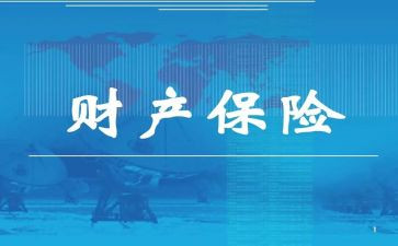 财险工作总结7篇