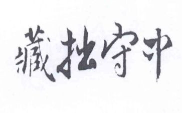 关于藏拙的作文优质5篇