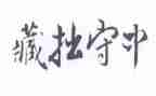 关于藏拙的作文优质5篇