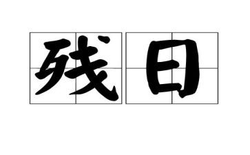 全国助残日宣传活动总结8篇