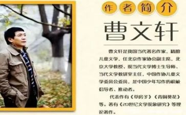 曹文轩的烟读后感最新7篇