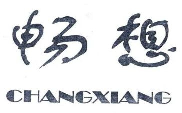 畅想作文300字7篇