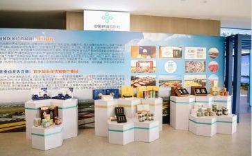产品策划方案范文6篇