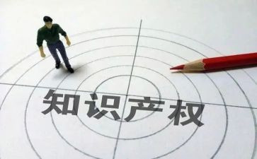 保护知识产权活动总结7篇