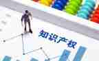 保护知识产权的作文6篇