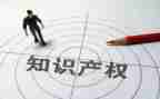 保护知识产权活动总结7篇