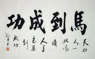 《成功》的读后感最新7篇