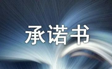 2024消防安全承诺书精选6篇