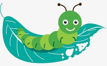 虫儿的歌教案7篇