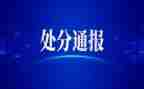 撤销处分申请书200参考6篇