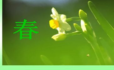 春节感想作文参考5篇