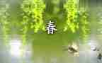春节500字作文最新8篇