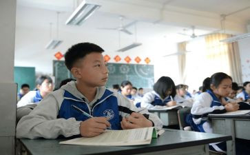 初中生物组工作总结优质7篇