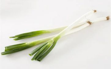 幼儿园葱的教案精选7篇