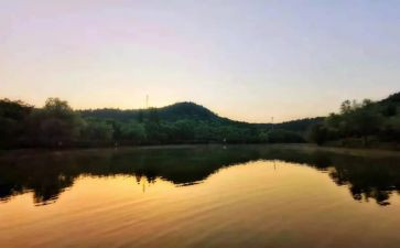 爱从未走远的作文5篇