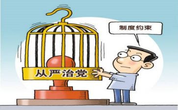从严治党半年总结6篇