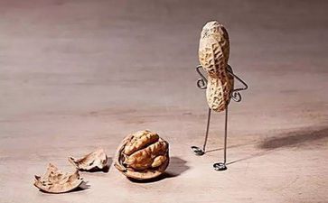 关于挫折的作文最新5篇