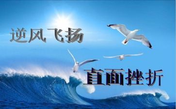 谈挫折作文模板8篇