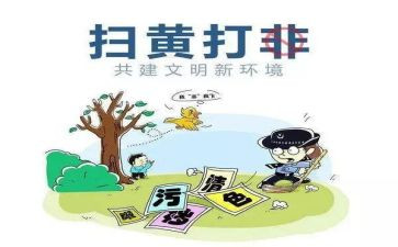 村扫黄打非工作总结5篇