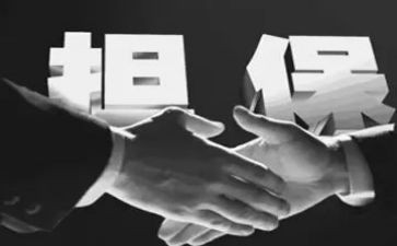 担保合同反担保合同参考5篇