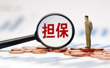 担保合同反担保合同8篇