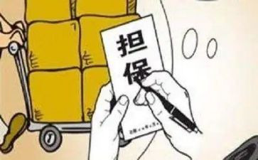 担保公司的工作总结7篇
