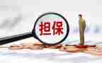 担保合同反担保合同8篇