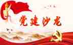 党委抓党建工作总结5篇