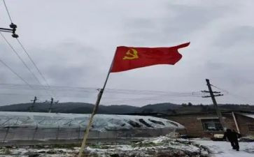 村党员转正申请书5篇