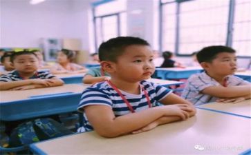引导师工作总结优质5篇