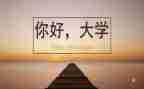 大学毕业个人实习报告5篇