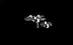 漫长的等待作文优质7篇