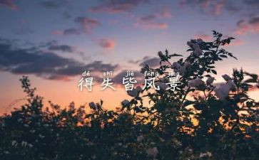 网络的得与失作文参考5篇