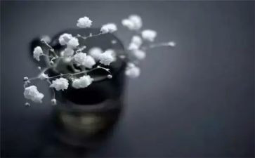 网络的得与失作文通用6篇