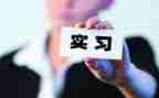 顶岗实习表学生自我鉴定优秀6篇