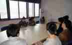 计算机的顶岗实习报告6篇
