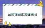 顶岗实习报告簿个人总结模板8篇