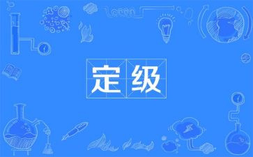 定级工作总结8篇