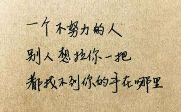 那一次我读懂了母爱作文6篇
