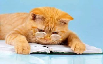 我读懂了母爱400字作文最新8篇