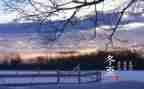 冬至的活动策划8篇