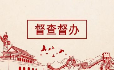 督查个人总结8篇