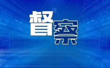 大督查工作总结模板7篇