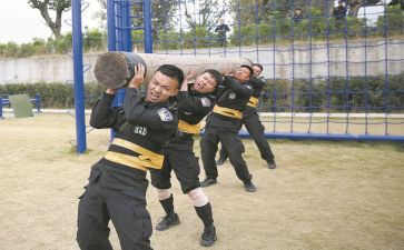 论教师队伍建设心得体会6篇