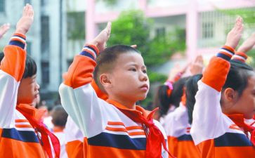 入少先队员申请书优质5篇