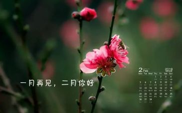 第二月工作总结精选6篇