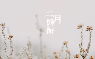 幼儿园教师二月工作总结7篇