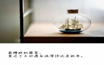 那一次我没有放弃作文8篇