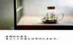 那一次我没有放弃作文8篇
