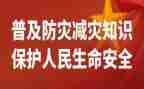 学校防灾安全工作总结6篇
